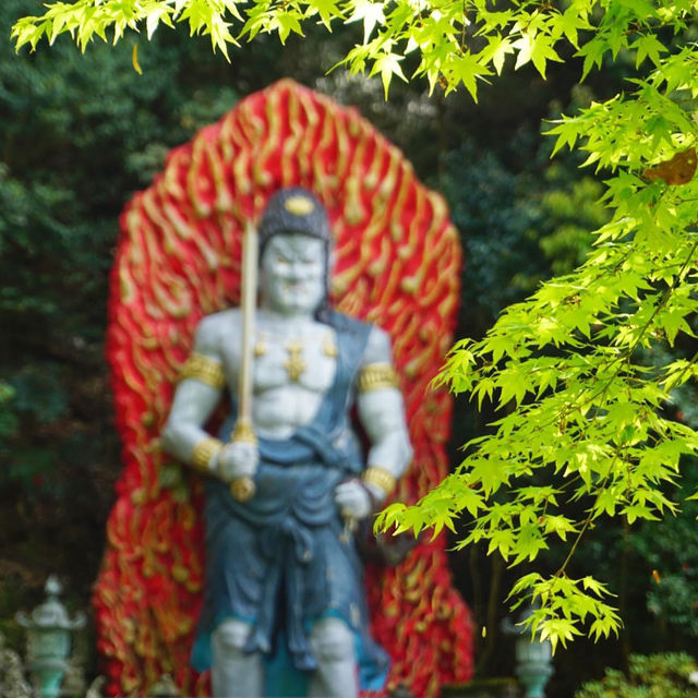 佛系之旅 福岡南藏院