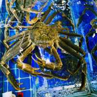 Seafood Heaven : XIAMEN Eight Seafood Market