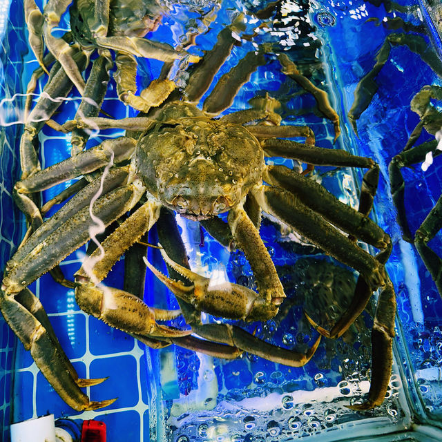 Seafood Heaven : XIAMEN Eight Seafood Market