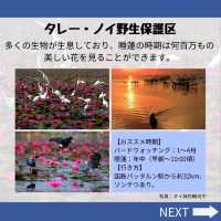 【ソンクラー】文化が混じる街！メイン観光地