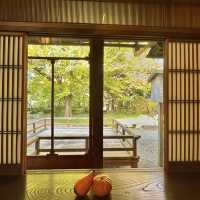 〜京都府〜超穴場！日本庭園を眺めながらお得ランチ