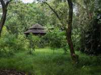 Pasir Ris Town Park