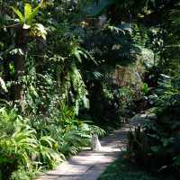 The Wonderer cafe 