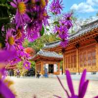Cheongun Literature Library: A Hidden Gem in Seoul 📚🇰🇷