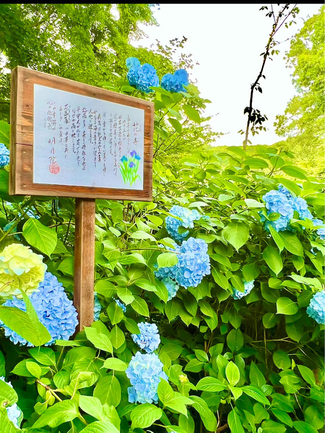 〜神奈川〜 悟りが開ける明月院　悟りの窓