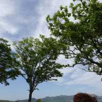 【九州自駕遊】Iichiko日田蒸餾廠：免費參觀製酒過程，適合酒愛好者