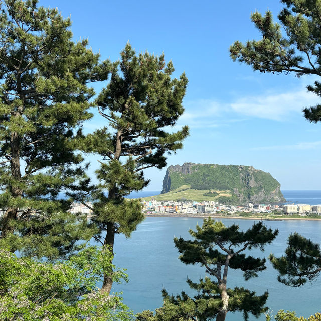 제주여행🏝️ 여덟번째 오름, 환상적인 뷰를 자랑하는 식산봉💚