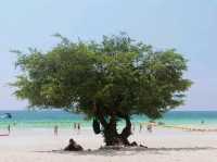 เที่ยวหาดเทียนเกาะล้าน