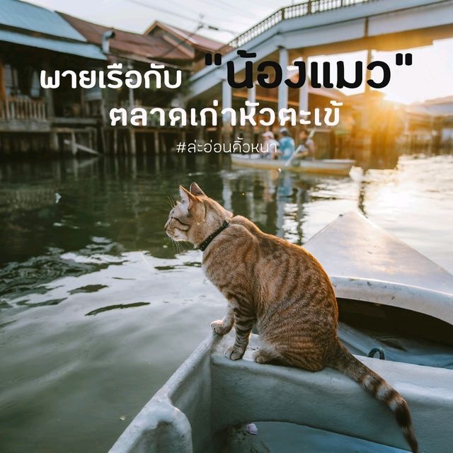 ตลาดเก่าหัวตะเข้ ลาดกระบัง