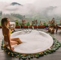 บ้านหอมหมื่นลี้ ดอยแม่สลอง