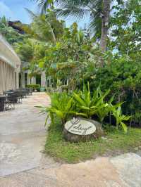 일몰과 함께 수영하기 좋은 보라카이 인생숙소🌅🧡