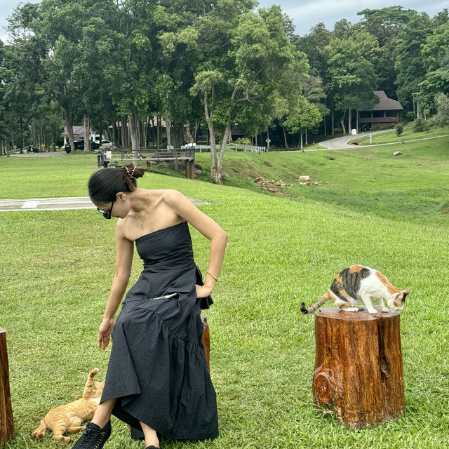 อุทยานแห่งชาติแม่ปืม 🌳