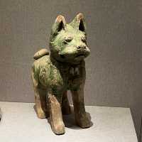 I Took 3 Flights to reach Zhengzhou Just to Experience the Splendor of the Henan Museum!