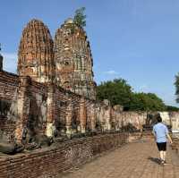 Divine Encounter: The Sacred Buddha Head Entwined in Banyan Roots