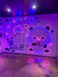 🐻‍❄️🌸에버랜드로 귀여운 판다 구경가요 
