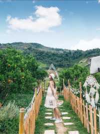 JINJU the orange farm สวนส้มเชียงใหม่ฟีลเกาหลี