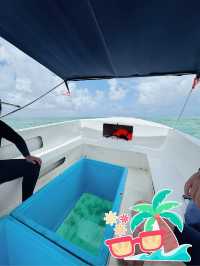 🏝️🇲🇺 Ile Aux Cerf tour on a crystal glass bottom boat