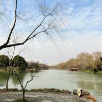 虎跑公園～中式園林之美