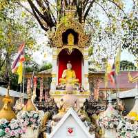 🕍พิกัดสายมูรวยจนฉุดไม่อยู่ วัดเก่าแก่ จ.เชียงใหม่