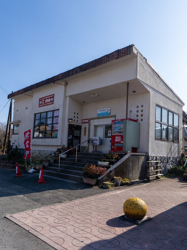 いまだけ！電車とカモメが撮れるエモい絶景スポット🚃𓈒𓂂𓏸行ったこそ分かるポイントも！
