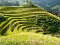 Spectacular views of rice terraces