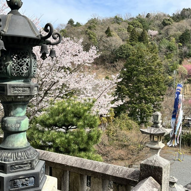幸福感あふれる柳谷観音