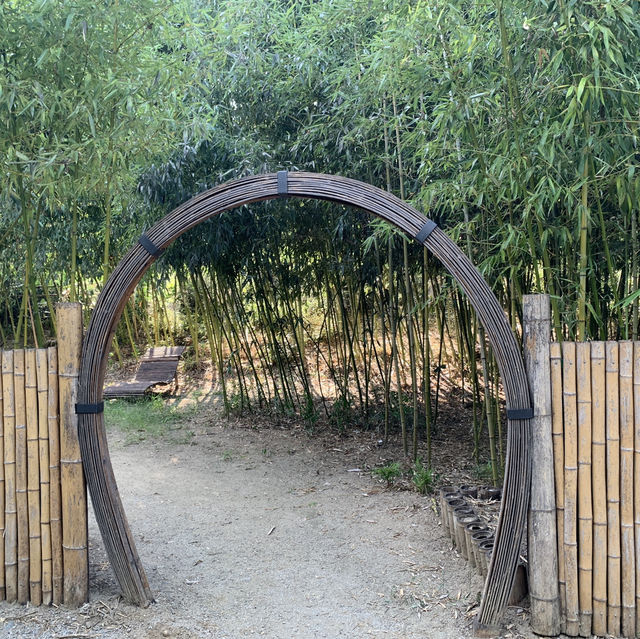 다사 죽곡 대나무숲, 자연의 평화로움을 느끼기에 좋은 장소