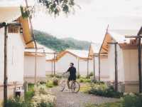 Lalabliss Camp Khaoyai สัตว์เลี้ยงมาได้