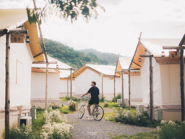 Lalabliss Camp Khaoyai สัตว์เลี้ยงมาได้