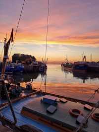 The world is your oyster • Whitstable