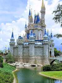 Where magic reigns