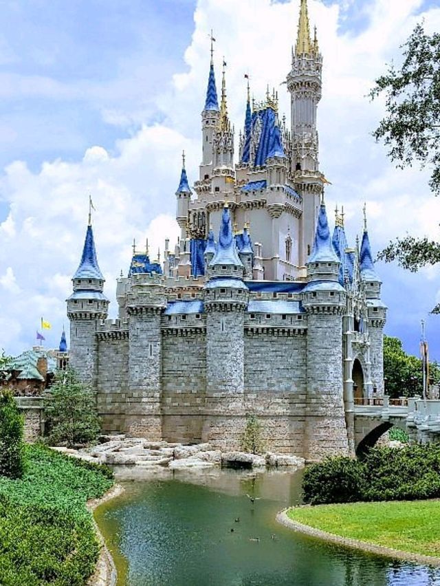 Where magic reigns