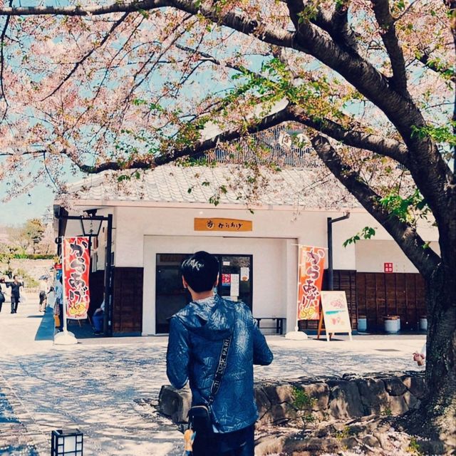 【日本美食文化】星鰻料理、咖啡與姬路城，一場令人難忘的旅程🌸