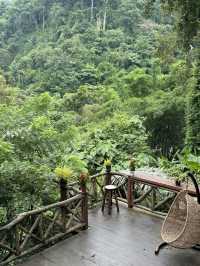 บ้านต้นไม้แม่แมะ | เชียงใหม่ 🏡⛰️🌧️🌿