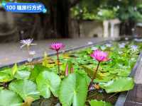 台南-水交社文化園區，昔日空軍眷村宿舍老宅