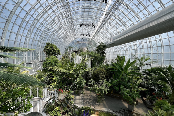 botanical☆ 10603 N 100TH STREET, SCOTTSDALE, AZ 85260