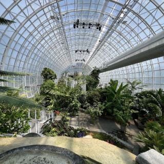 Myriad Botanical Gardens