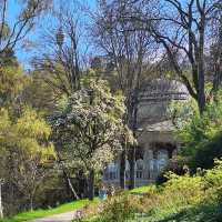 A Hidden Gem with a Historic Pergola