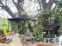 DAIRY HOME กรีกโยเกิร์ตร้านโปรด😍