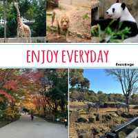 上野動物園簡～親親可愛動物