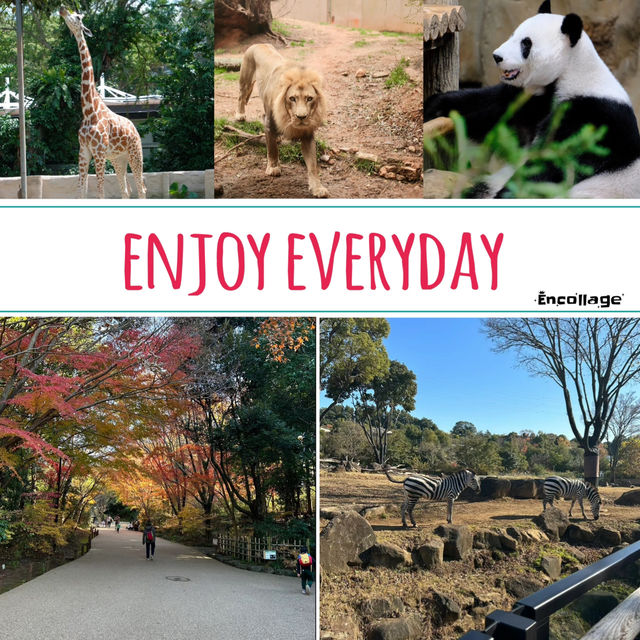 上野動物園簡～親親可愛動物