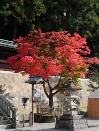Autumn in Takayama 🍁🍂