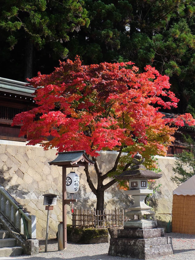 Autumn in Takayama 🍁🍂