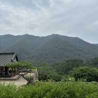 大人の韓国旅