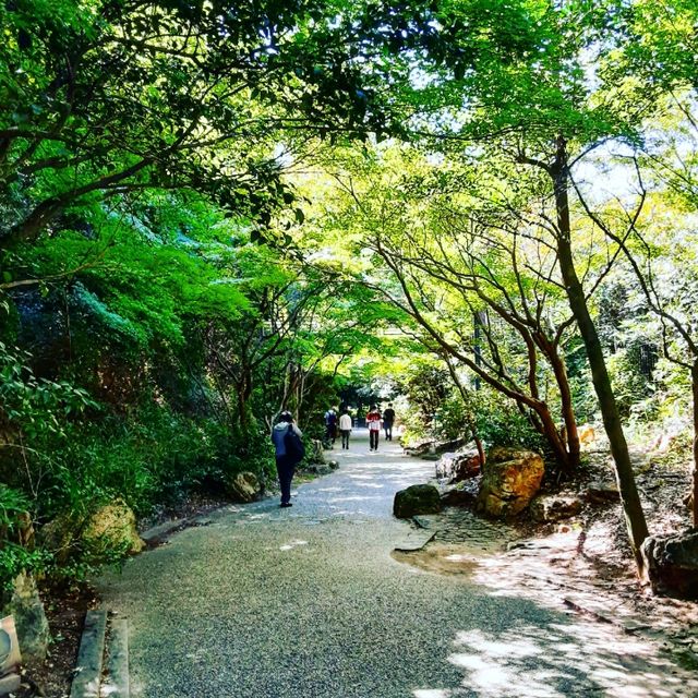 【京都】広大な芝生公園に泊まる 京都お薦めホテル 梅小路Potel