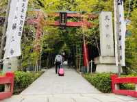 熱海観光　来宮神社