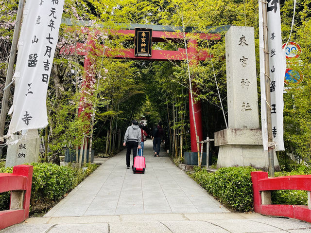 熱海観光　来宮神社