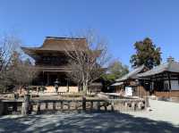 吉野山　金峯山寺