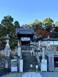 【京都紅葉】とても綺麗な花手水がたくさんあるお寺！