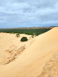 White Sand Dunes: ทะเลทรายขาวแห่งเวียดนาม 🏜